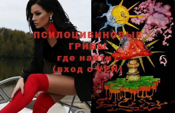 mix Козельск