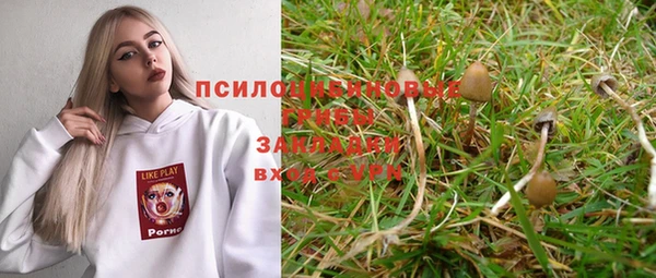 mix Козельск