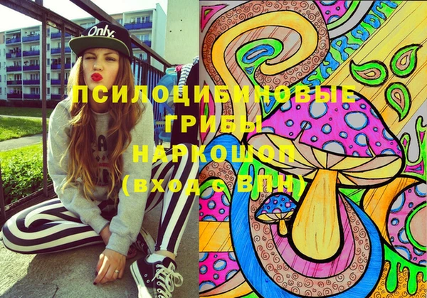 mix Козельск