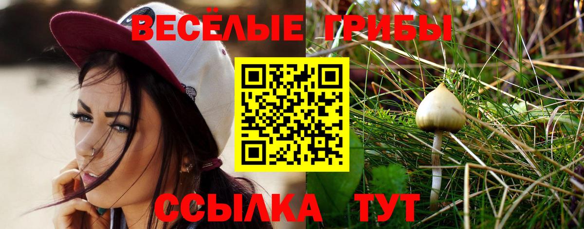 Галлюциногенные грибы мицелий Сосновоборск